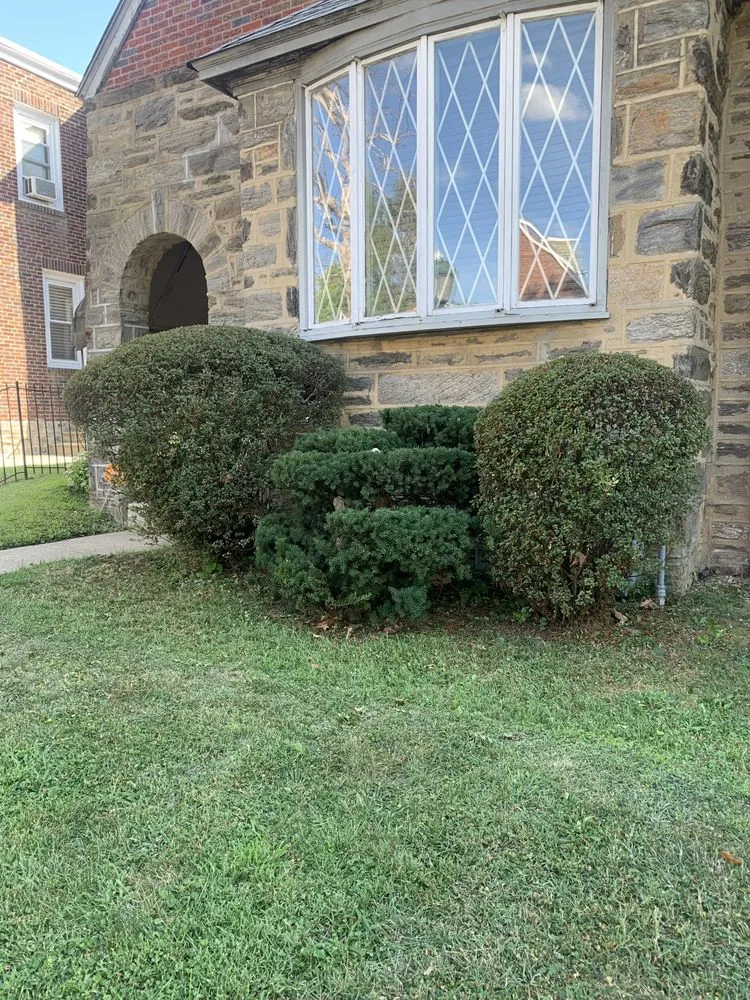 Expert lawn mowing service in Philadelphia, PA by Tru Trimming Landscaping