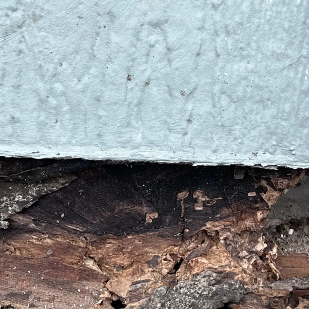 Expert landscape design for year-round maintenance across Tacoma, WA - Tru Valhalla Construction