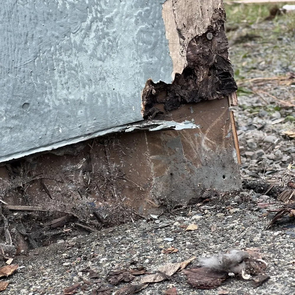 Reliable landscape installation in Tacoma, WA - Tru Valhalla Construction