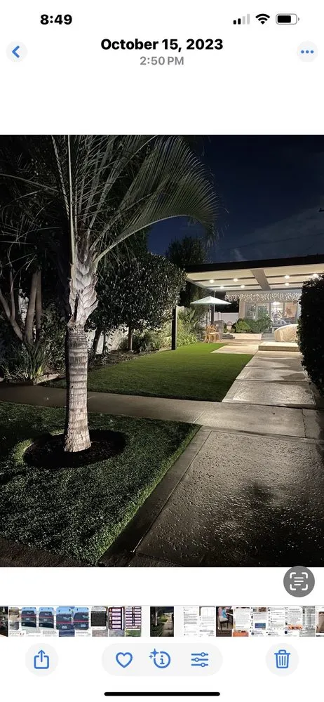 Expert yard cleanup service in Lakewood, CA - Tru Vision