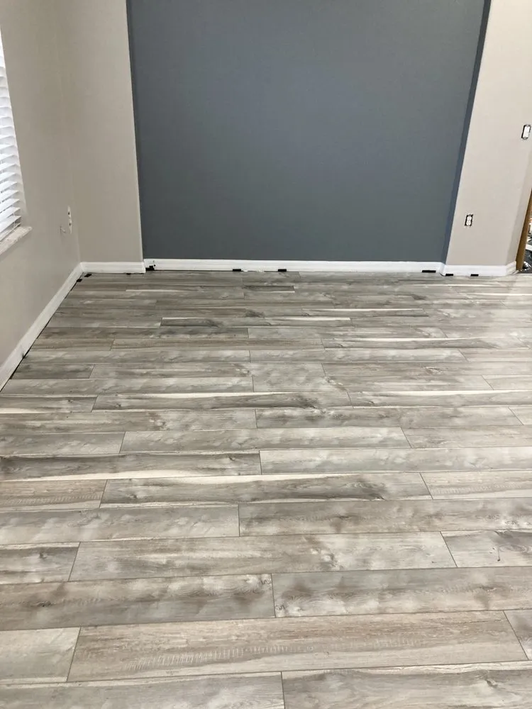 Reliable landscaping services in Daytona Beach, FL by TruBlu Holmes