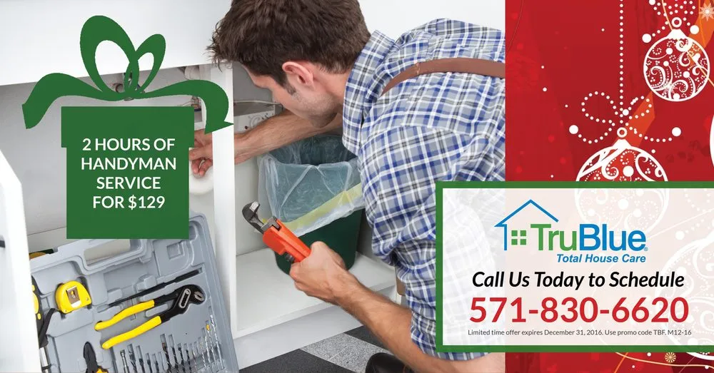 Professional landscape installation in Fairfax, VA by TruBlue