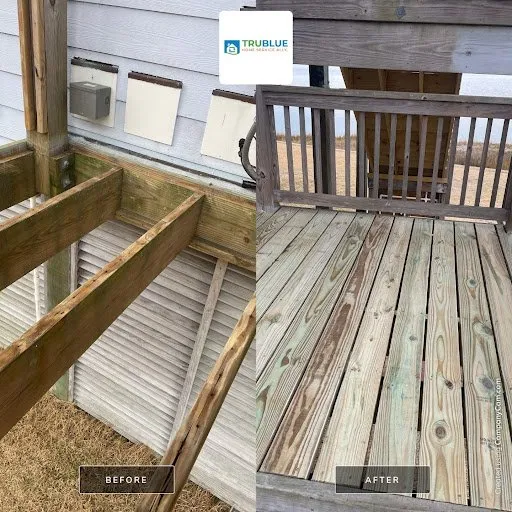 Local landscaping services experts serving Wilmington, NC - Trublue Home Service Ally