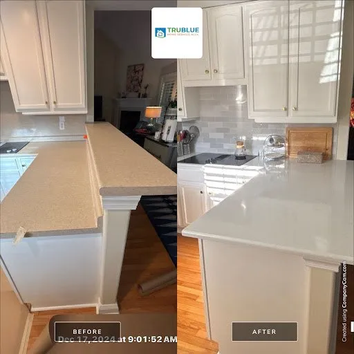 Reliable landscape design in Wilmington, NC by Trublue Home Service Ally