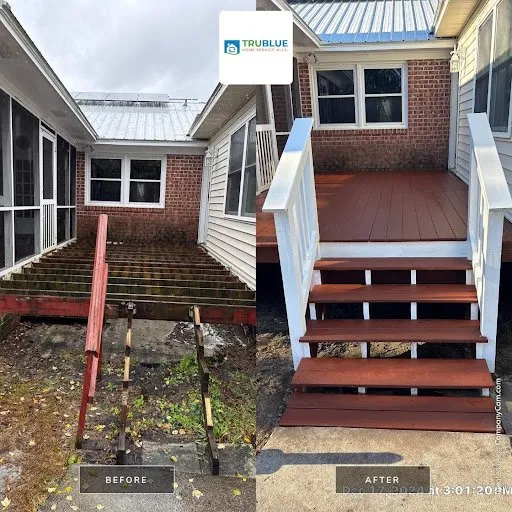 Affordable yard maintenance experts serving Wilmington, NC - Trublue Home Service Ally