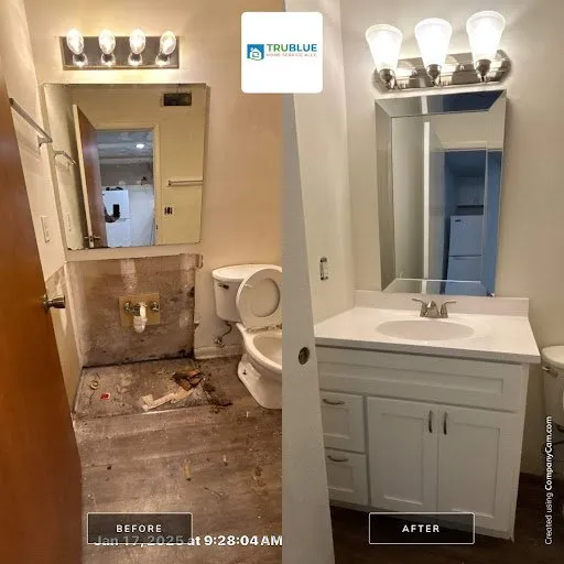 Professional landscape design experts serving Wilmington, NC - Trublue Home Service Ally