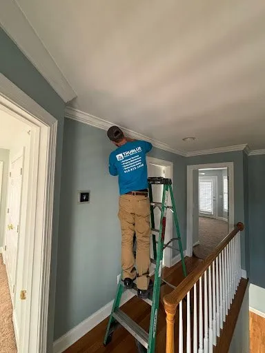 Trusted yard cleanup service in Wilmington, NC by Trublue Home Service Ally