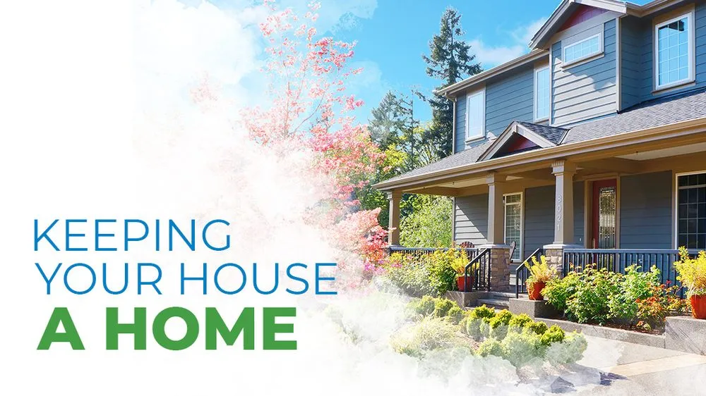 Professional yard maintenance in Howard Lake, MN - TruBlue House Care of Delano