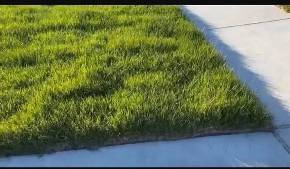 Affordable lawn care service experts serving Copperas Cove, TX - Trubright Lawn Care