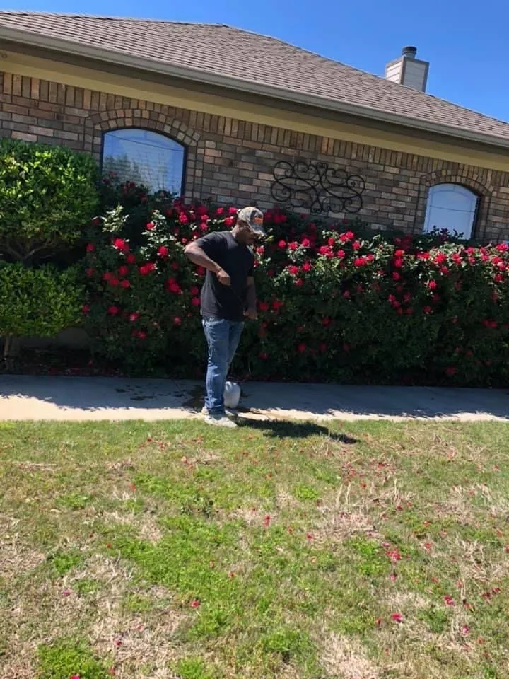 Professional lawn care service with custom design in Copperas Cove, TX by Trubright Lawn Care