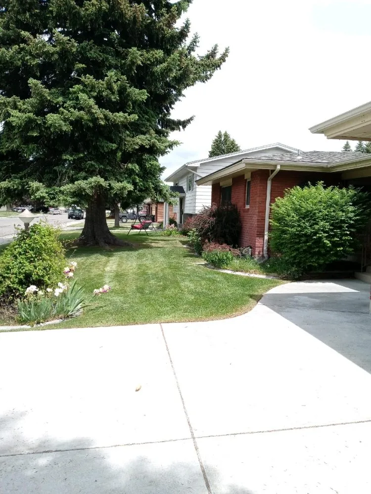 Reliable landscape installation in Idaho Falls, ID by Truby Services