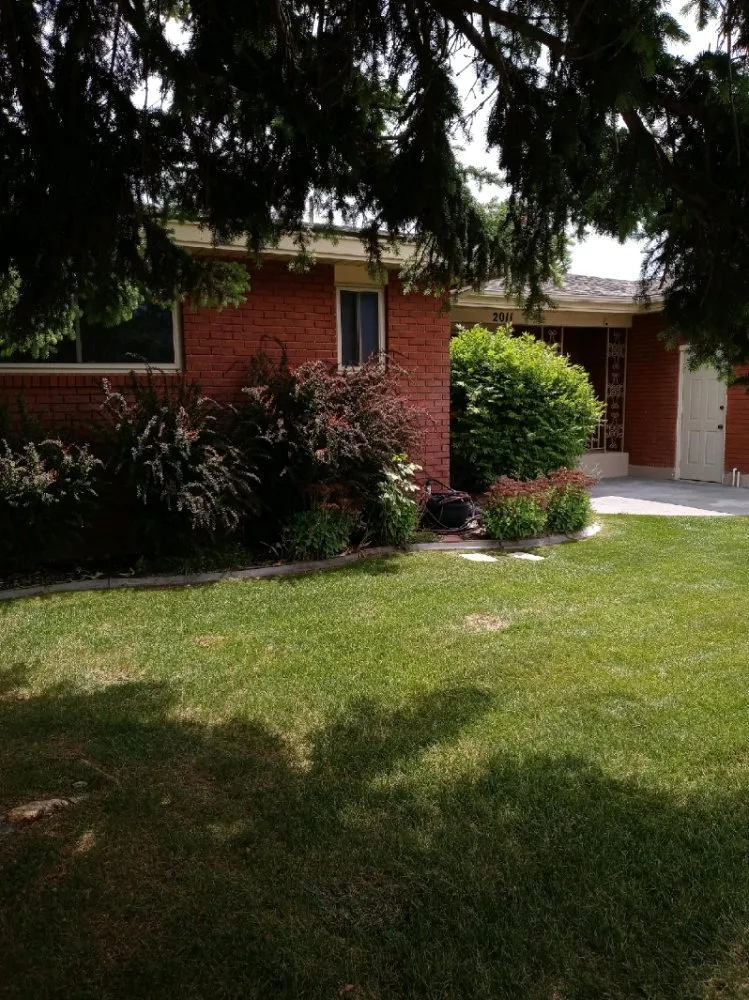 Affordable lawn care service in Idaho Falls, ID - Truby Services