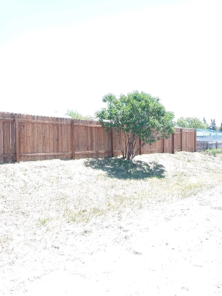 Affordable yard cleanup service experts serving Idaho Falls, ID - Truby Services