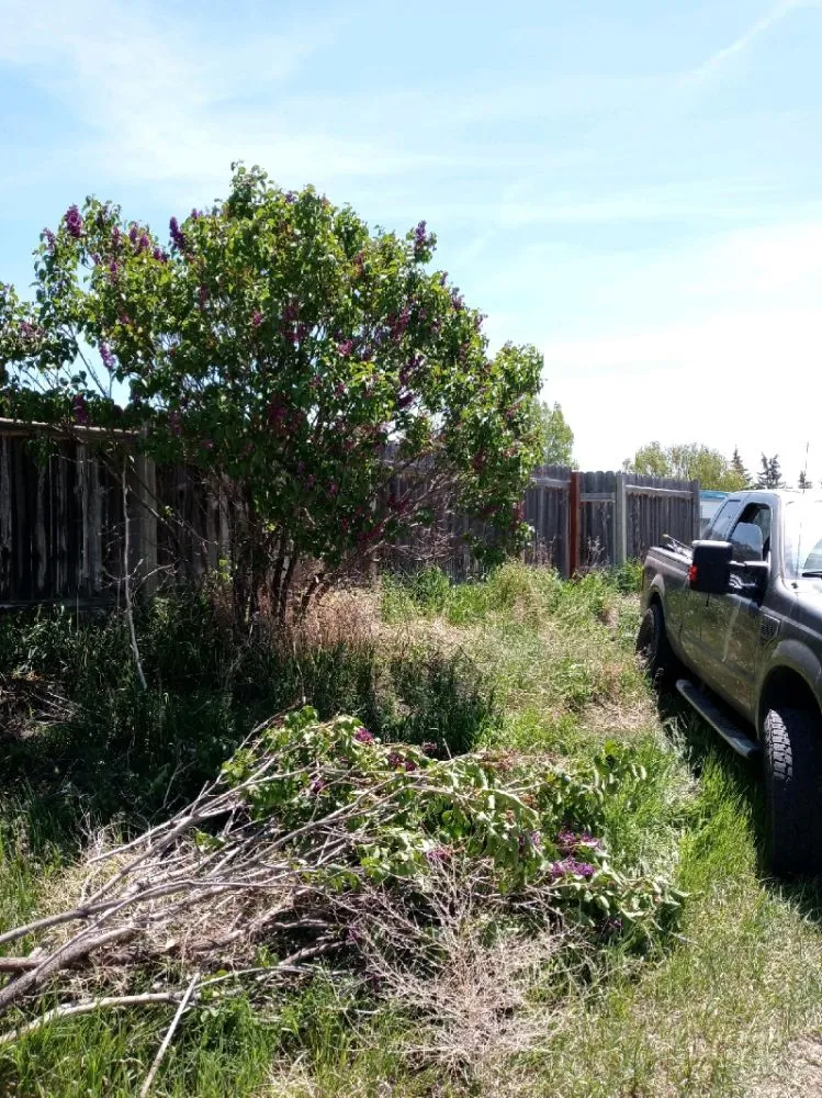 Top-rated yard maintenance near you in Idaho Falls, ID by Truby Services