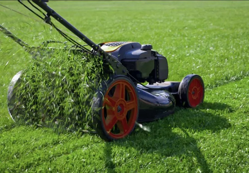 Custom garden landscaping for year-round maintenance across Fort Wayne, IN - Trucare Management