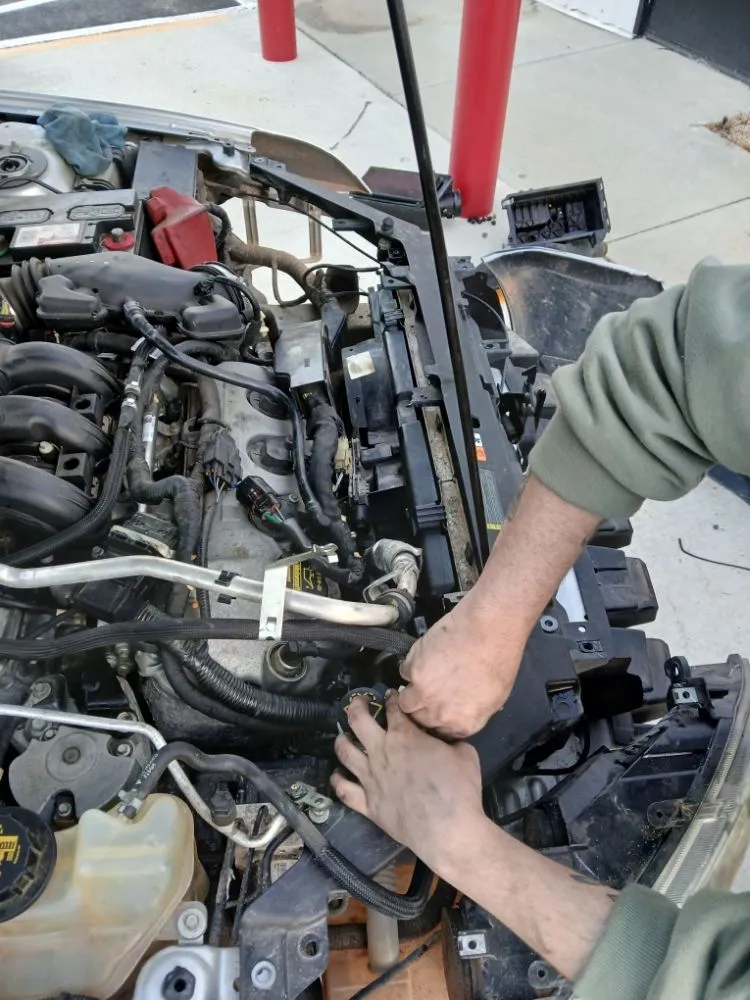 Affordable landscaping services experts serving Panama City, FL - Truck Handyman & Transport