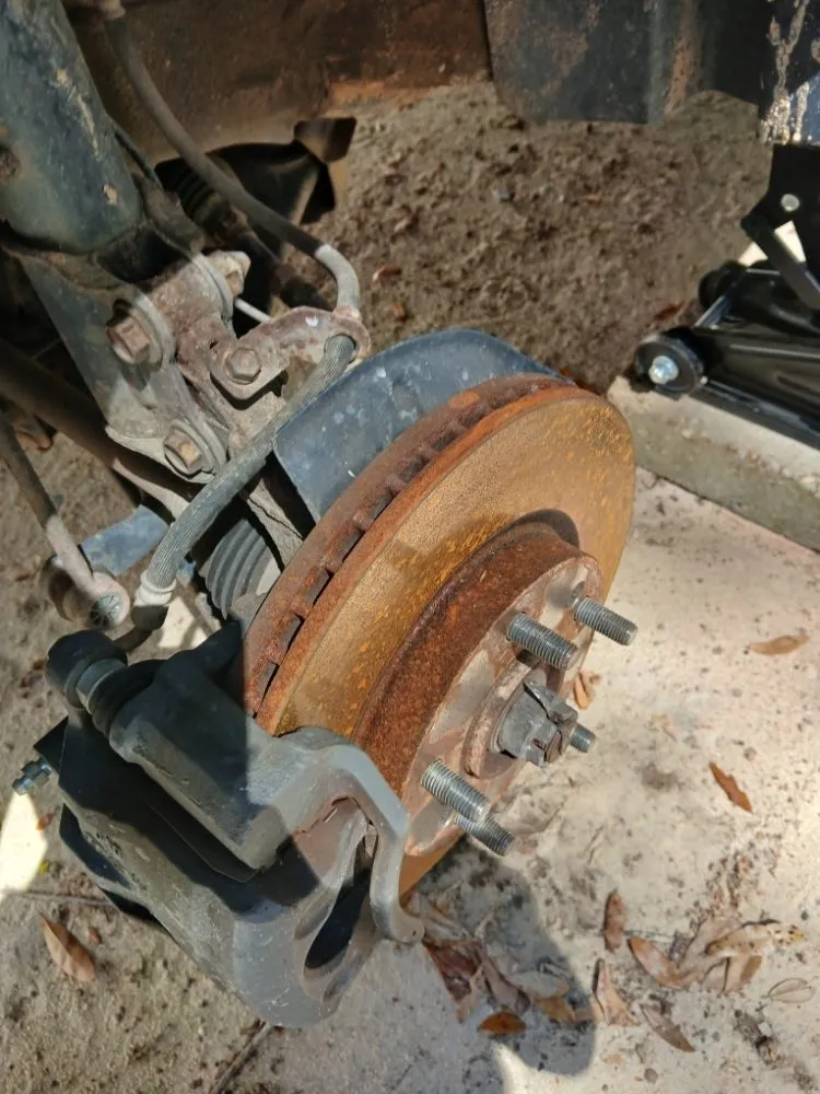 Professional yard cleanup service in Panama City, FL - Truck Handyman & Transport