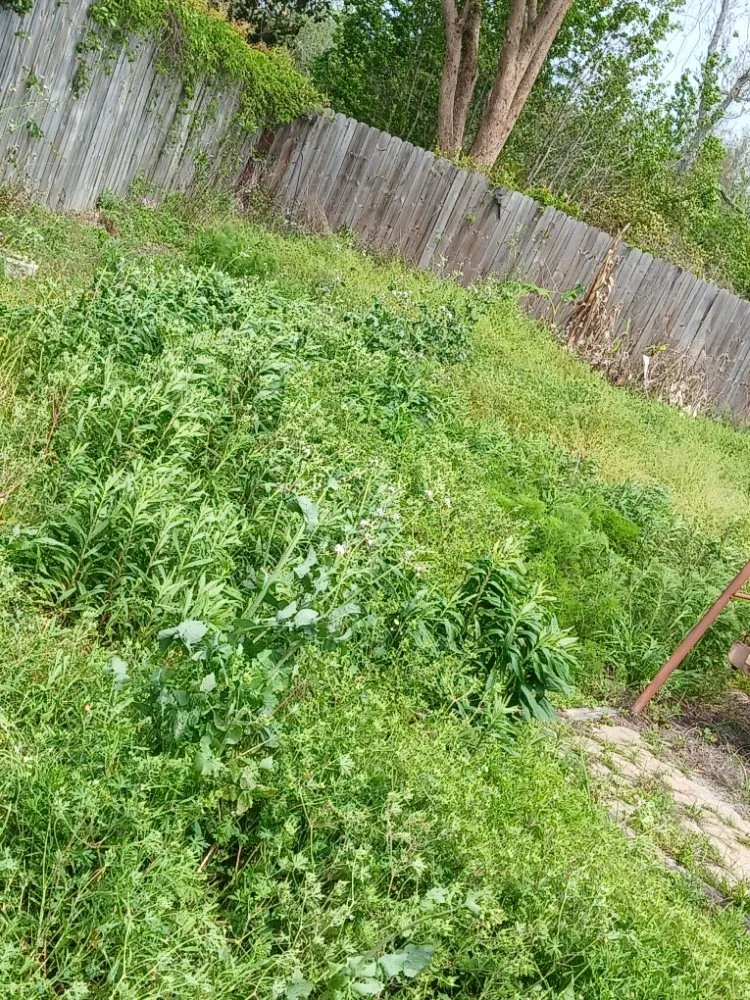 Custom yard maintenance with custom design across Panama City, FL - Truck Handyman & Transport