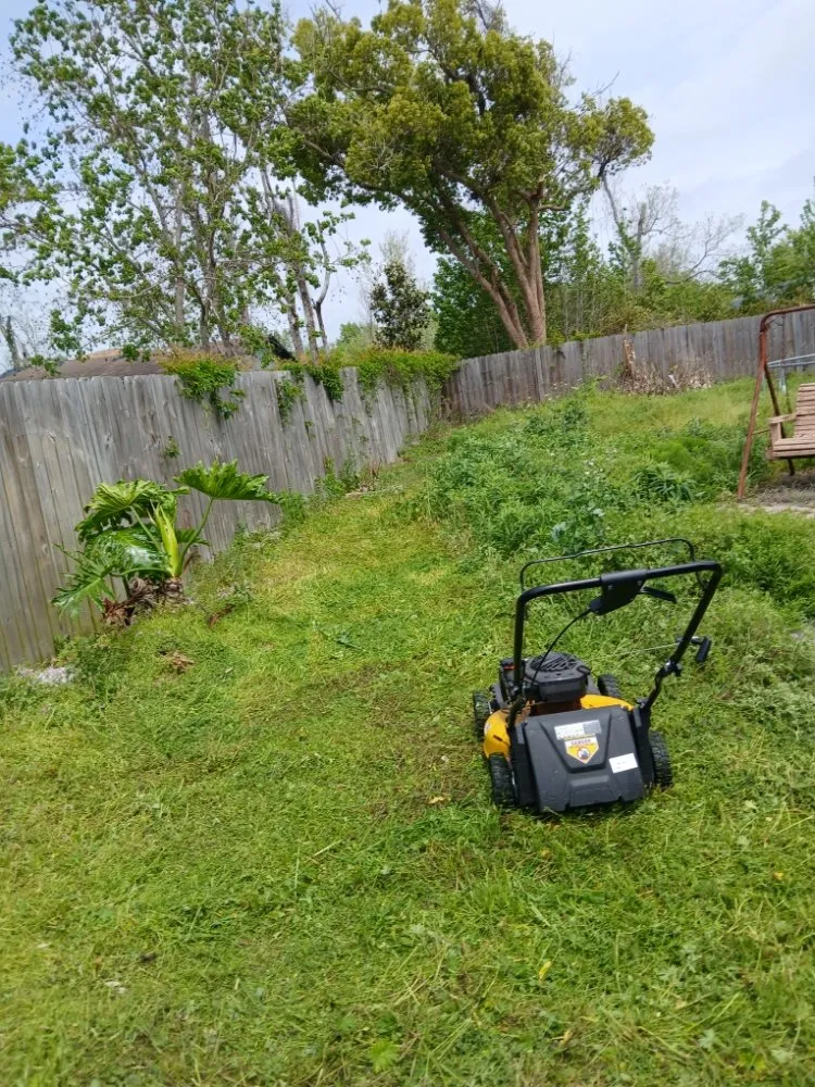 Custom yard cleanup service in Panama City, FL by Truck Handyman & Transport