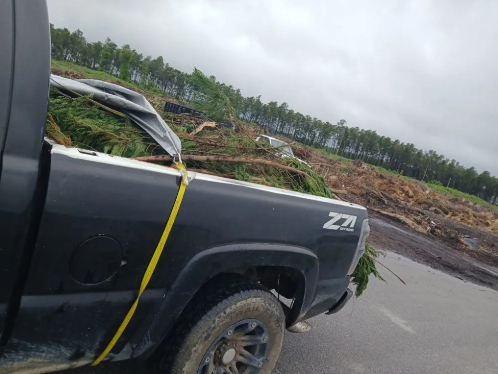 Expert lawn care service for homes in Panama City, FL by Truck Handyman & Transport