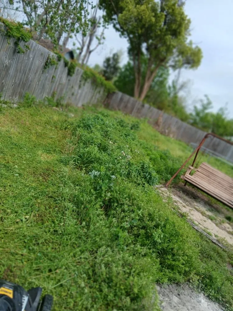 Affordable landscaping services experts serving Panama City, FL - Truck Handyman & Transport