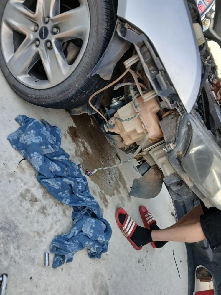 Professional yard maintenance for year-round maintenance across Panama City, FL - Truck Handyman & Transport