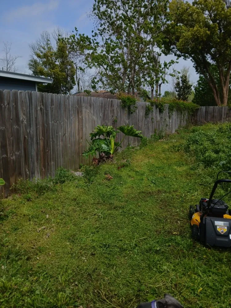 Professional landscape installation in Panama City, FL by Truck Handyman & Transport