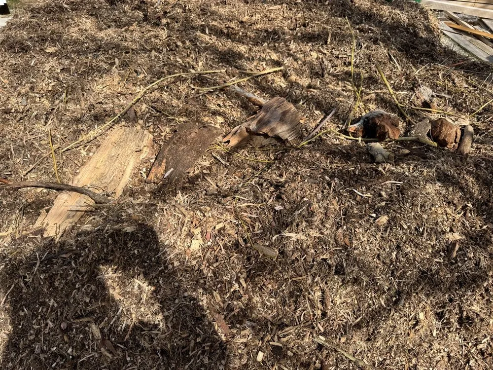 Professional lawn mowing service in Reno, NV - Truckee River Rock & Nursery