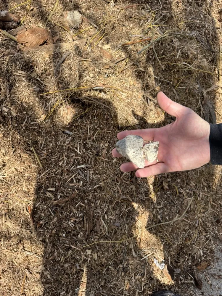 Professional landscape design in Reno, NV by Truckee River Rock & Nursery