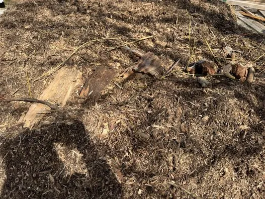 Truckee River Rock & Nursery Logo