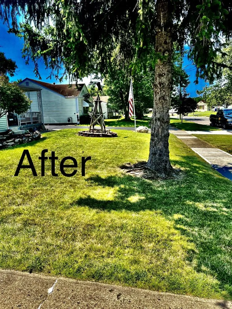 Affordable landscape installation for homes across Grove City, OH - Truckey’s