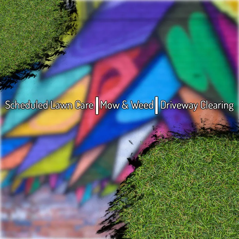 Professional lawn care service for year-round maintenance in Woodfin, NC by Truckstuff the Company