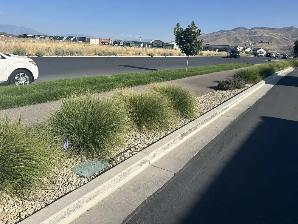 Expert landscaping services for beautiful yards across Murray, UT - TruCo