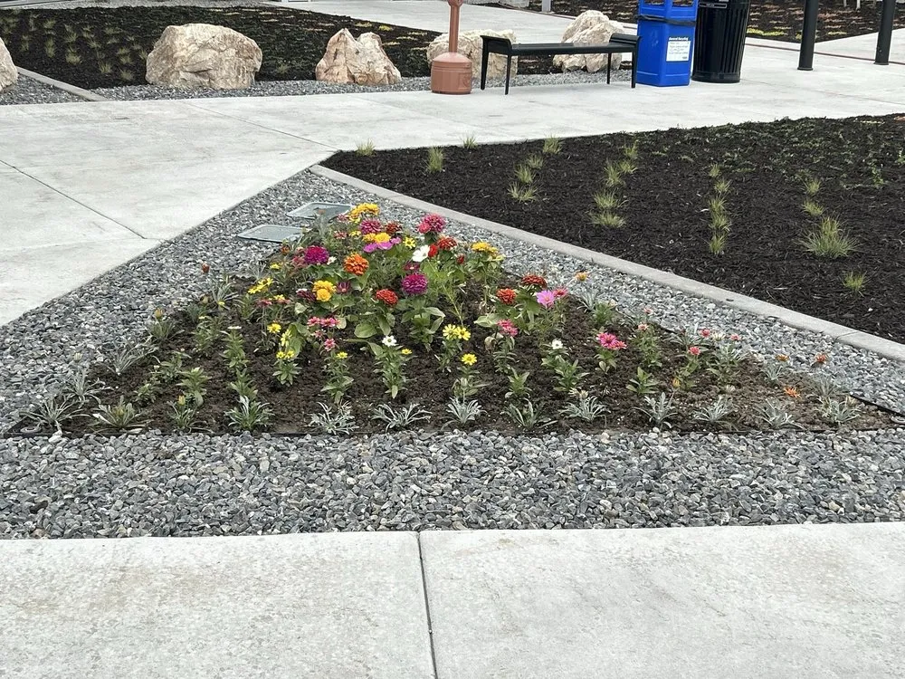 Trusted yard cleanup service experts serving Murray, UT - TruCo