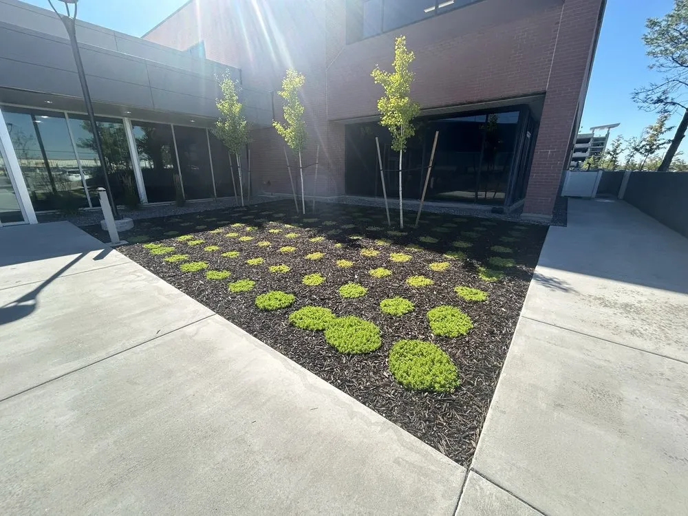 Trusted yard cleanup service in Murray, UT by TruCo