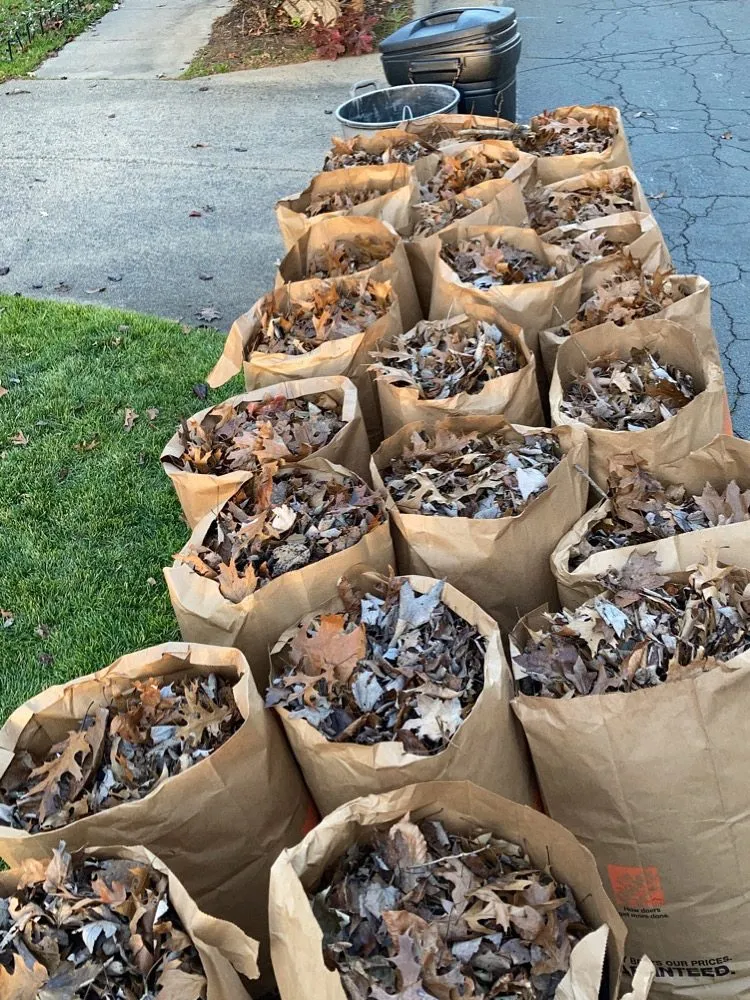 Trusted landscaping services experts serving Greenville, NC - TruCraft Repair