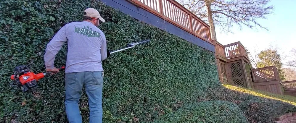 Reliable residential landscaping for year-round maintenance in Saint Amant, LA by TruCut Lawn Care