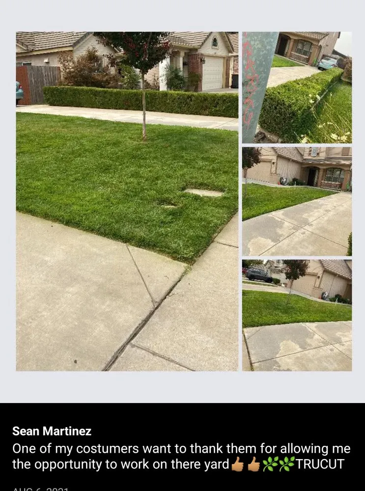 Expert lawn care service experts serving Stockton, CA - Trucut Lawncare & Landscape