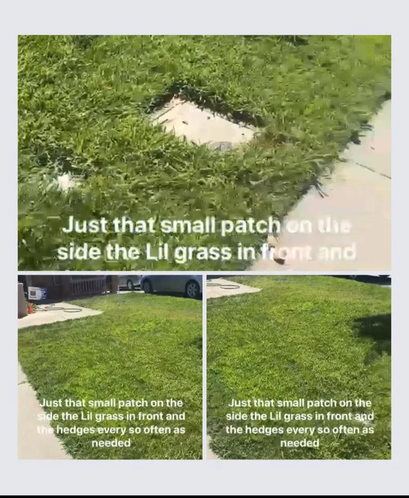 Top-rated garden landscaping near you in Stockton, CA by Trucut Lawncare & Landscape