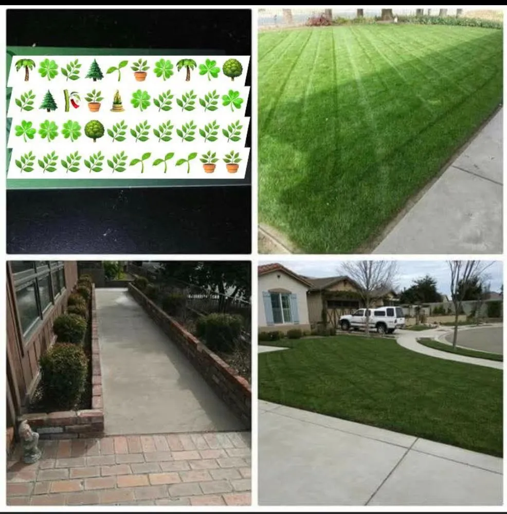 Affordable lawn care service in Stockton, CA by Trucut Lawncare & Landscape