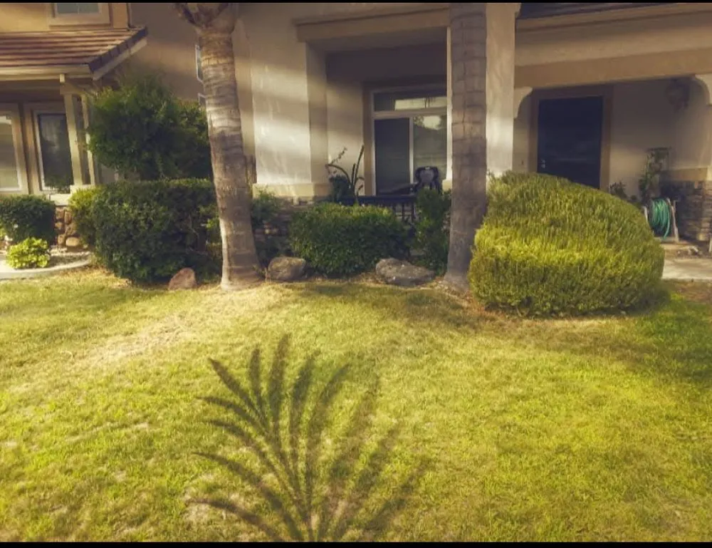 Local lawn care service for year-round maintenance across Stockton, CA - Trucut Lawncare & Landscape