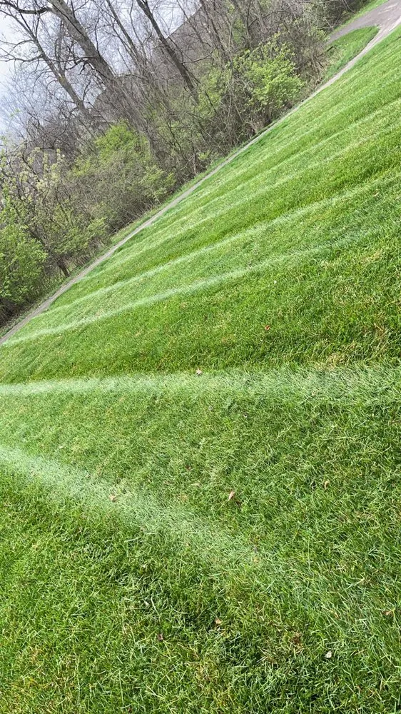 Trusted lawn mowing service near you across Summerville, SC - Trucut Lawns Unlimited