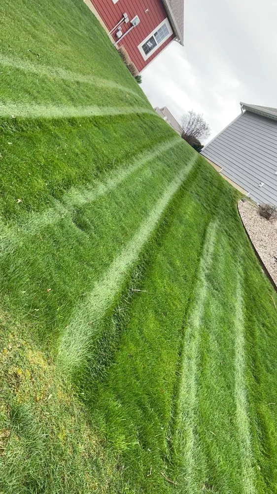 Top-rated outdoor landscaping in Summerville, SC by Trucut Lawns Unlimited