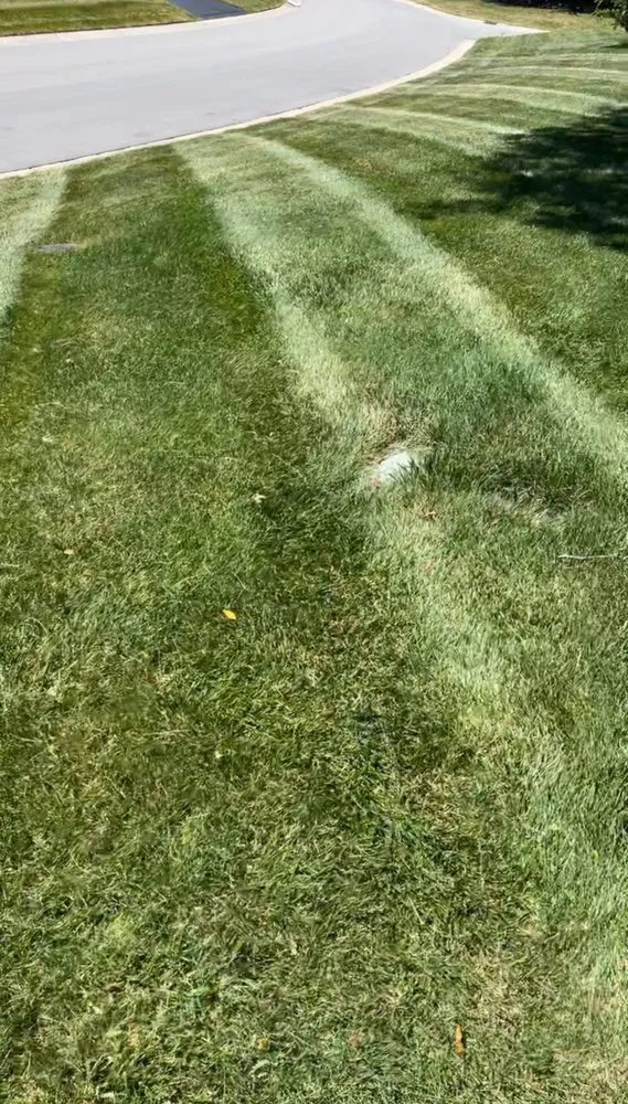 Custom garden landscaping in Summerville, SC by Trucut Lawns Unlimited