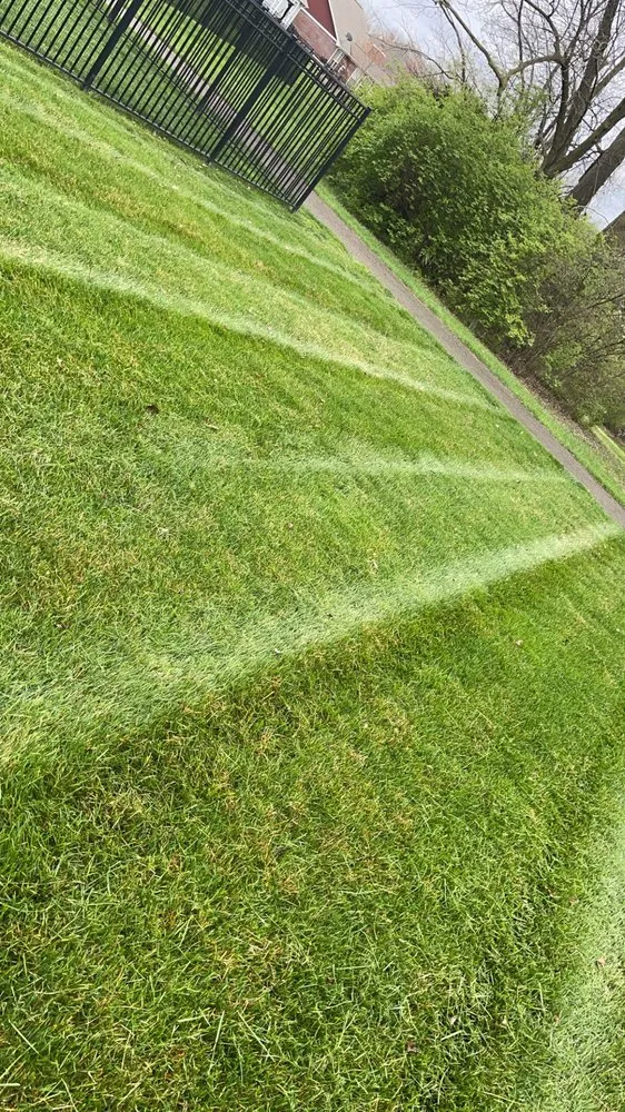Professional lawn care service in Summerville, SC by Trucut Lawns Unlimited