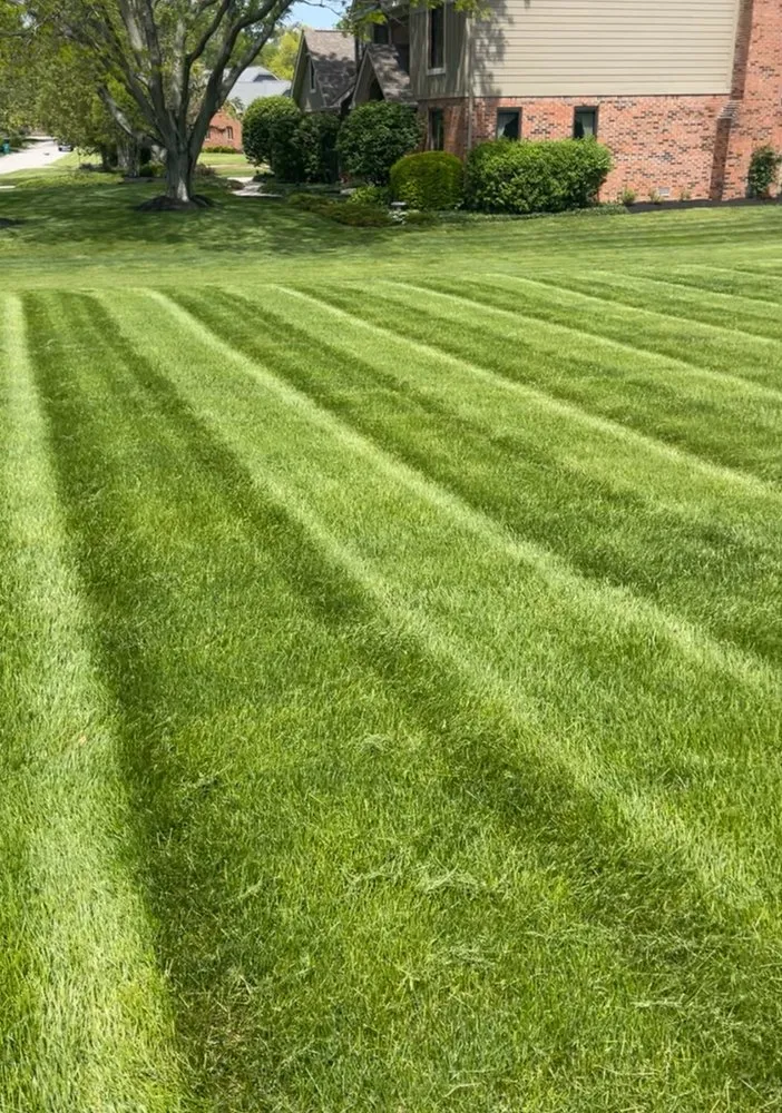 Professional landscape installation experts serving Summerville, SC - Trucut Lawns Unlimited