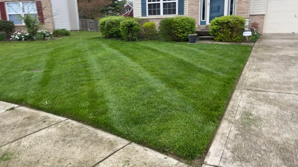 Affordable lawn care service for residential properties in Summerville, SC by Trucut Lawns Unlimited