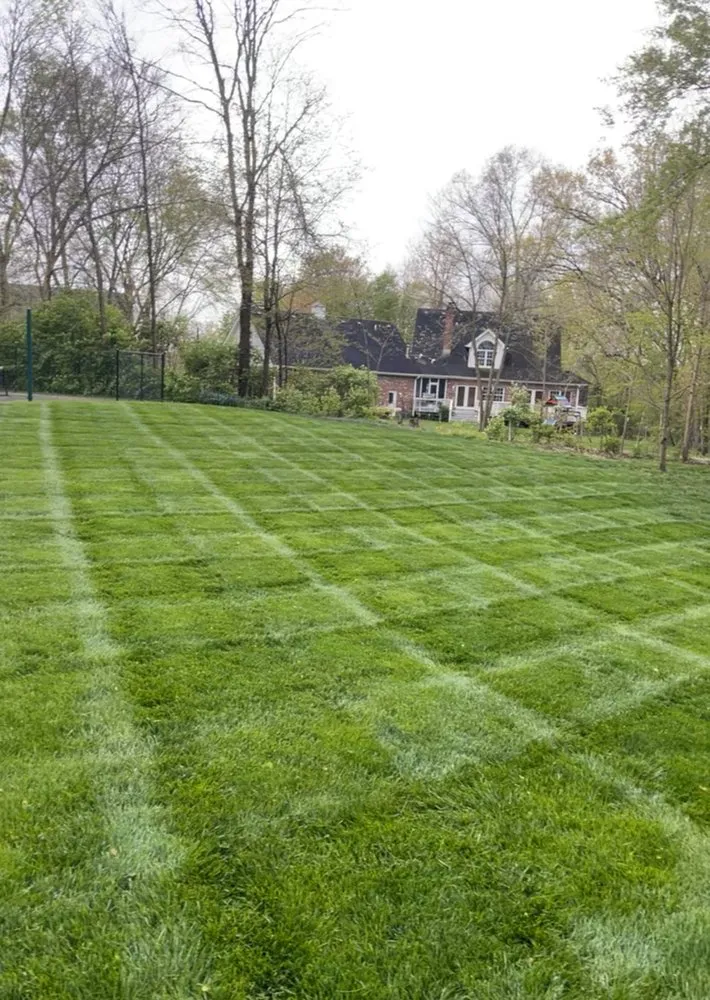 Local garden landscaping in Summerville, SC by Trucut Lawns Unlimited