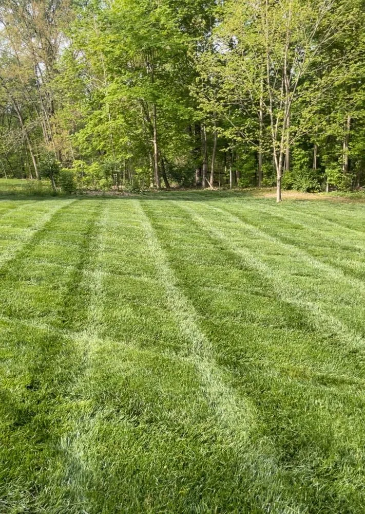 Custom lawn mowing service experts serving Summerville, SC - Trucut Lawns Unlimited