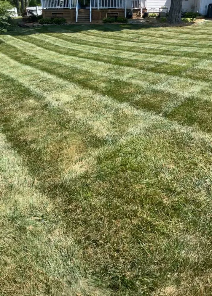 Custom outdoor landscaping for outdoor upgrades in Summerville, SC by Trucut Lawns Unlimited